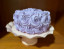Cake with Rosettes in Therapy Room